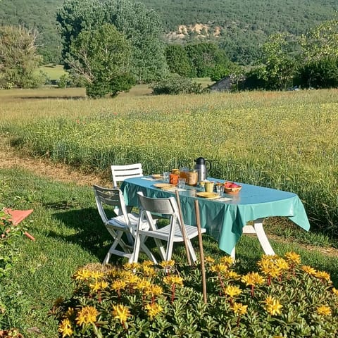 Property view