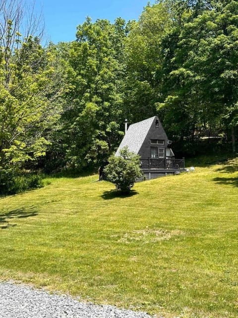 Glamping A-Frame w/ Outdoor Shower on Hillside House in Taghkanic
