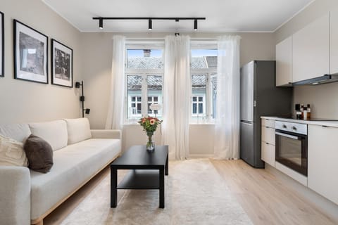 Kitchen or kitchenette, Living room, Seating area, dishwasher, oven, stove