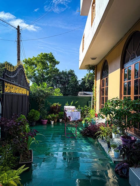 Property building, Day, Garden, Garden view