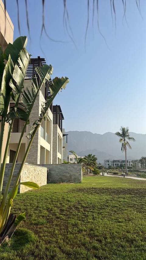 Property view