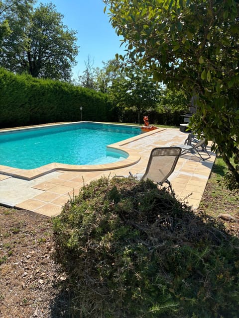 Garden, Garden view, Swimming pool, sunbed