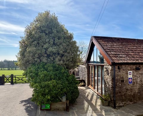 Property building, Natural landscape, Garden