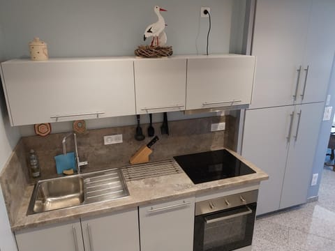 Kitchen or kitchenette, dishwasher, stove