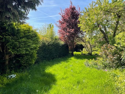Spring, Day, Natural landscape, Garden, Garden view