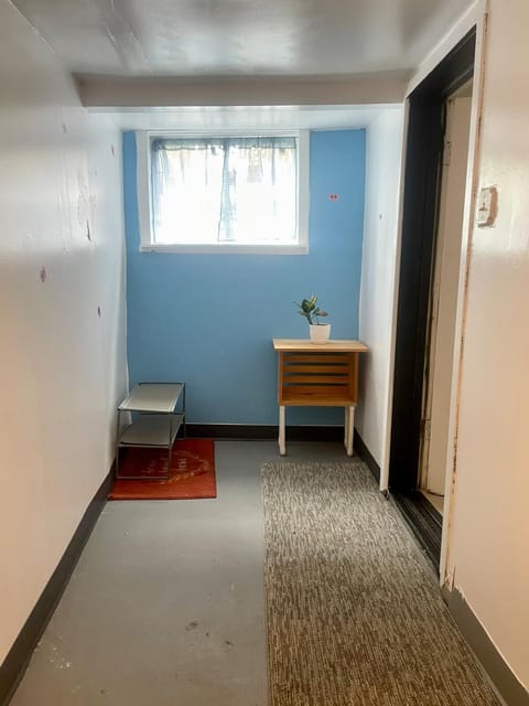 Lower Level Luxury Apartment in Chicago