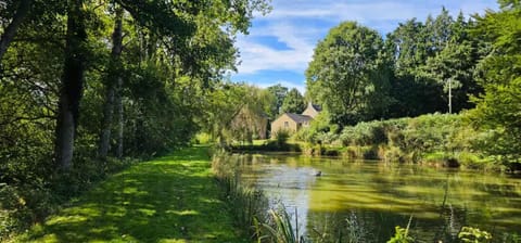 Fishing, Garden