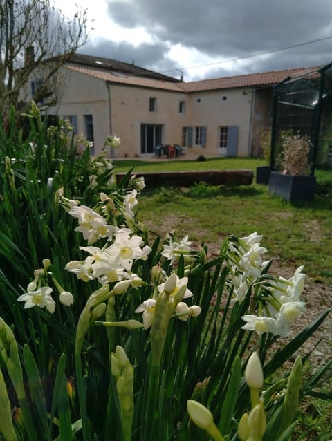 Property building, Garden view