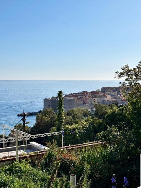 Day, Garden, View (from property/room), City view, Landmark view, Sea view