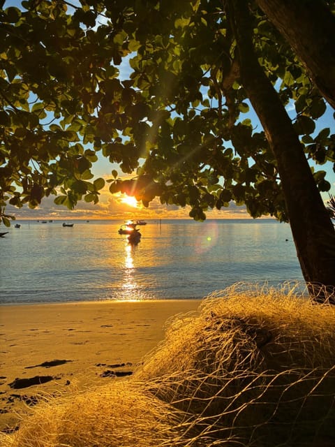 Day, Beach, Sunrise