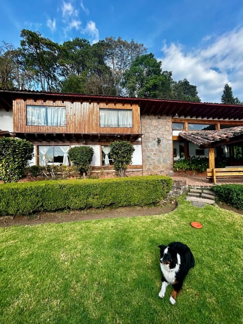 Property building, Spring, Day, Garden, Garden, Pets, Garden view