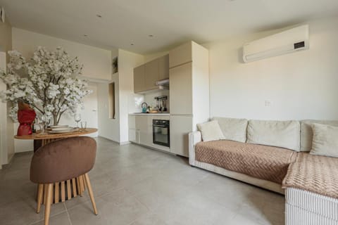 Kitchen or kitchenette, Living room, Seating area, Dining area, stove, air conditioner