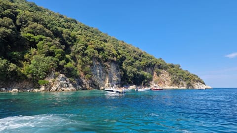 Natural landscape
