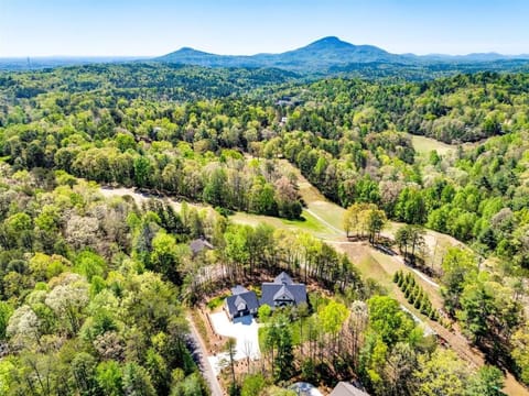 Comfy Bear Mountain Lodge– Spacious Family-Frien House in Helen