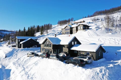 Property building, Winter