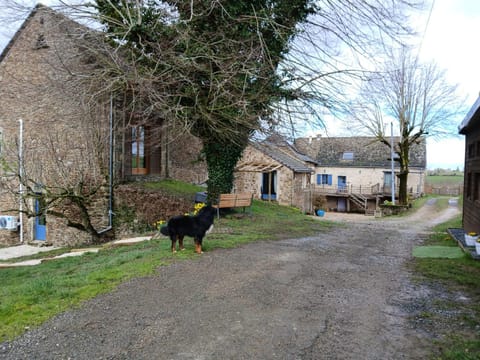 Inner courtyard view
