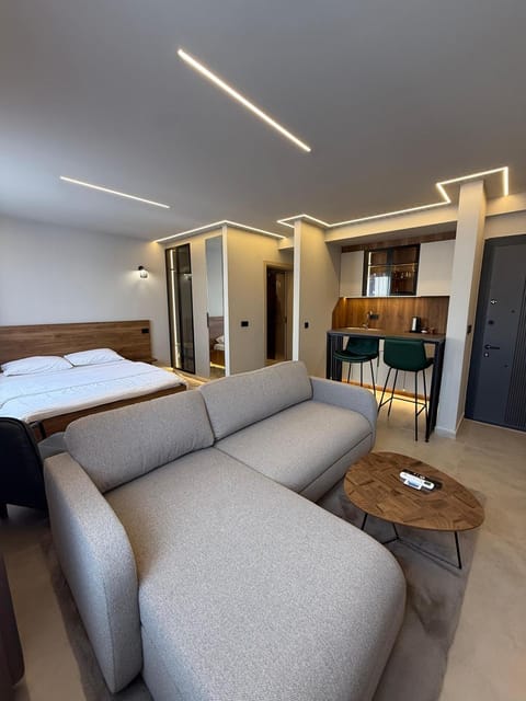 Bed, Living room, Photo of the whole room, Seating area, Bedroom