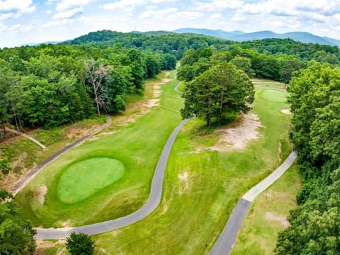 Ridge Top Cozy Cabin at 3rd Hole with Hot Tub Cabin in Helen