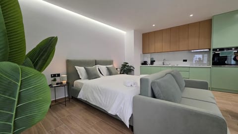Bed, Living room, Photo of the whole room, Seating area, Bedroom