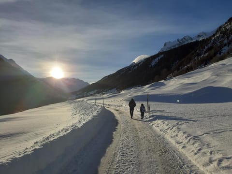 Camere Osteria Bäkar, Val Bedretto Hotel in Airolo
