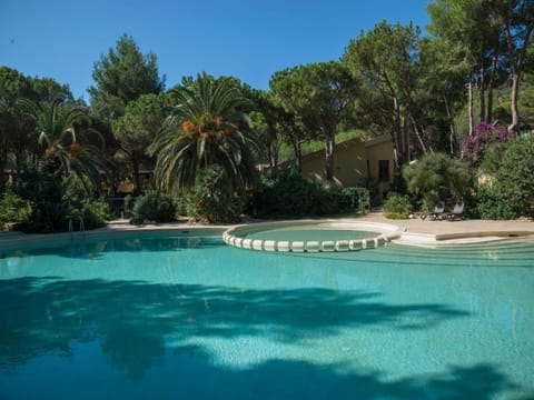 Summer, Garden, Swimming pool