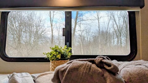 Bed, Natural landscape, View (from property/room)