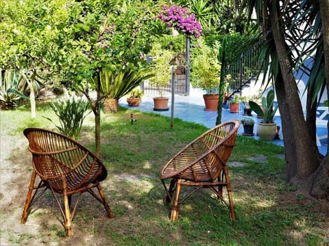 Garden, Garden view, sunbed