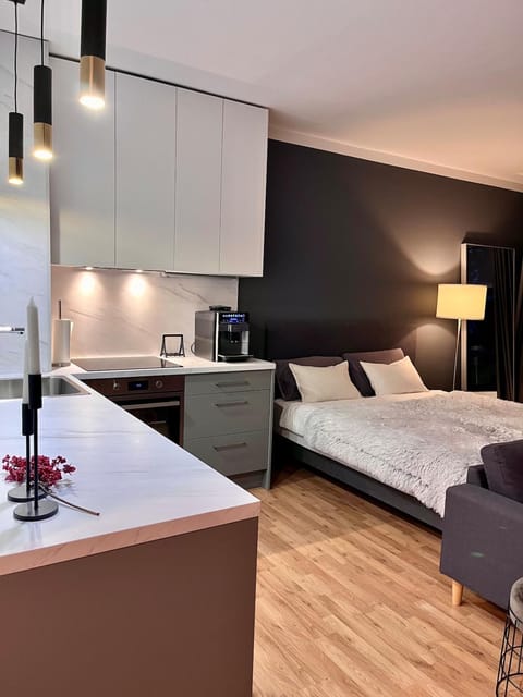 Bed, Kitchen or kitchenette, Living room, Bedroom