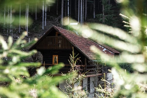 Property building, Day, Natural landscape