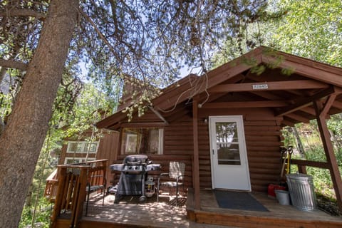 Dog Friendly Mountain High! House in Monarch