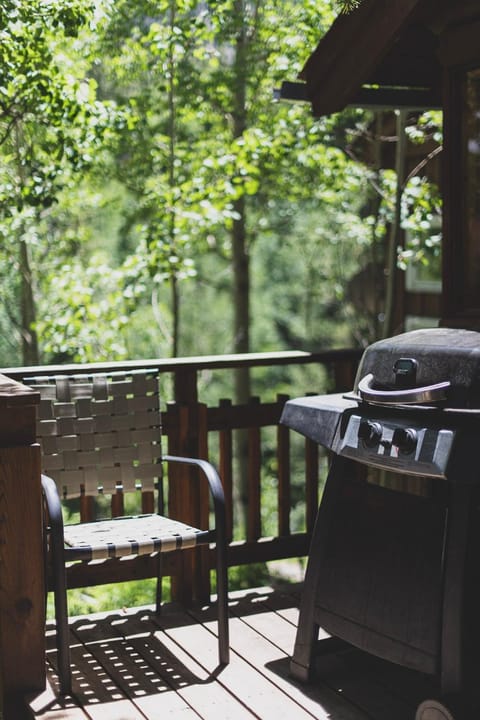 Dog Friendly Mountain High! House in Monarch