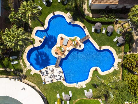 Bird's eye view, Swimming pool