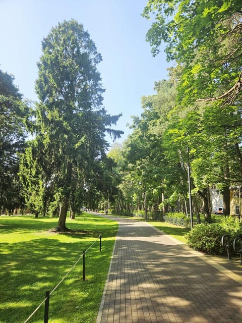 Apartamentai ALDMA Palangos miesto širdyje Apartment in Palanga