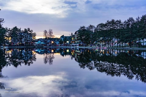 Nearby landmark, Neighbourhood, Natural landscape