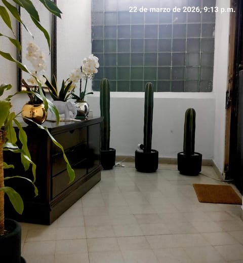 Suites Central Apartment in Mexico City