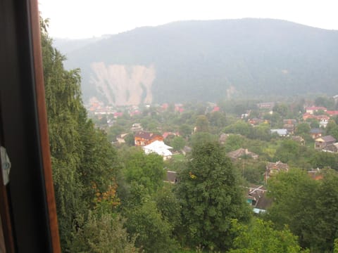 View (from property/room), Balcony/Terrace, Other, City view, Garden view, Mountain view, Inner courtyard view