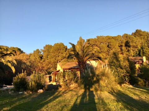 Property view