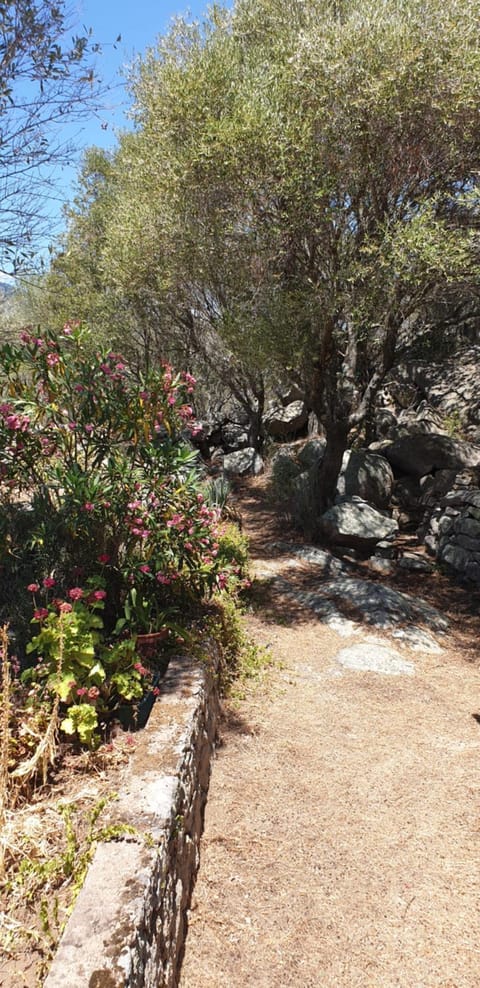 A casa di Minà House in Porto-Vecchio
