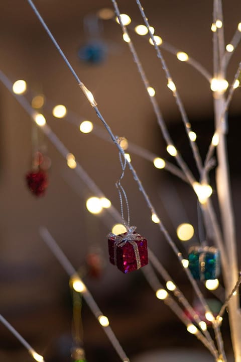 River Valley Retreat- Dog Friendly, Minutes to Monarch Mountain House in Poncha Springs