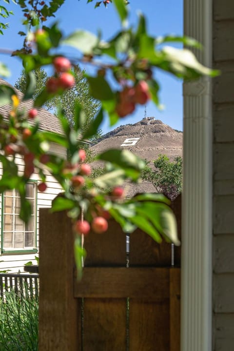 Dog Friendly- Salida Bungalow - Cute In-Town Home! House in Salida