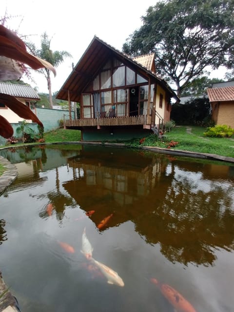Lake view