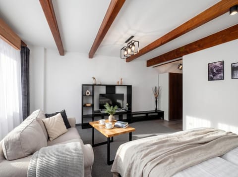 Bed, TV and multimedia, Living room, Photo of the whole room, Seating area, Bedroom