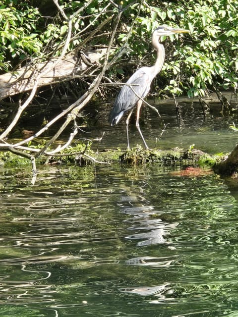 Large House Boat Docked boat in Fayette