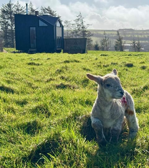 Sea View Sunset Outdoor Bath House in Woolacombe