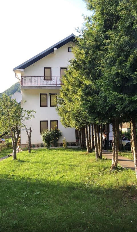 Property building, Natural landscape, Garden