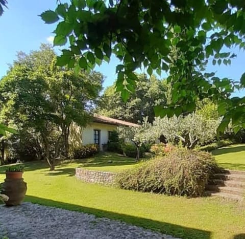 Property building, Garden, Garden view