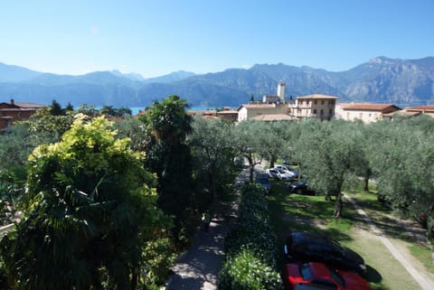Natural landscape, Garden view, Mountain view
