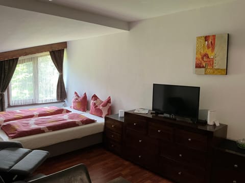 Communal lounge/ TV room, Bed, Living room, Photo of the whole room, Seating area, Bedroom