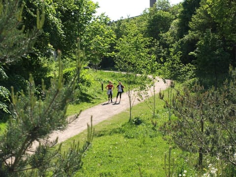 Luxury Family Apartment in Copenhagen Apartment in Frederiksberg