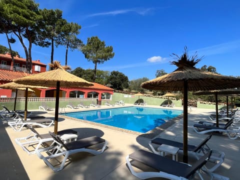 Day, Pool view, Swimming pool, sunbed
